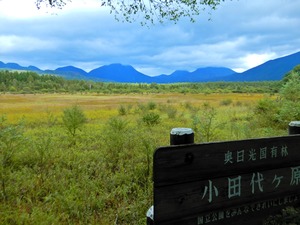 塩原温泉 彩つむぎ 女将の独り言 栃木よもやま話