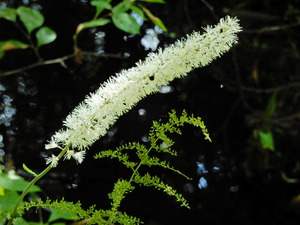 DSCN9862