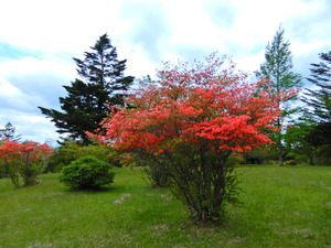 DSCN9934