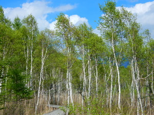 DSCN0771
