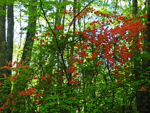 DSCN0418