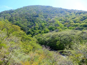 DSCN8203