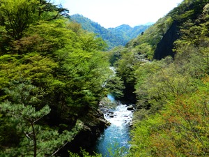 DSCN8217