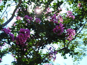 DSCN0543