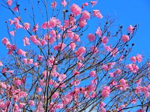 DSCN0050
