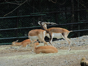 DSCN0088