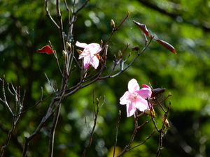 DSCN1607