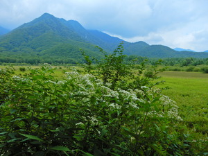 DSCN9516