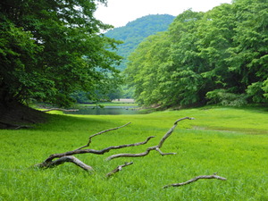 DSCN9437
