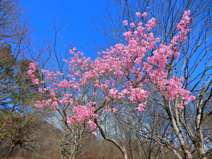 DSCN0025