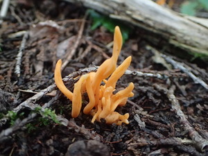 P8220551