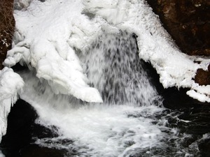DSCN9922