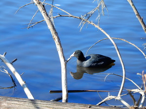 DSCN0442