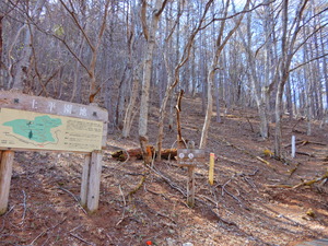 DSCN9794