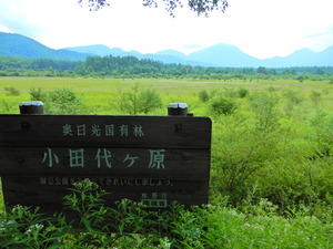 DSCN9558