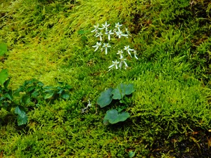 DSCN9850