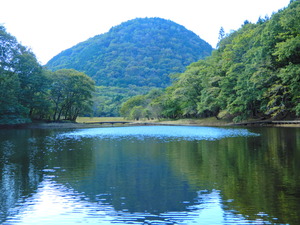 DSCN9921