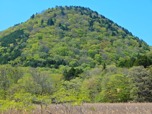 DSCN0338