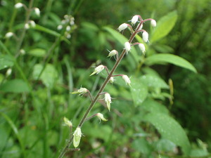 P6100124