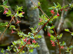 DSCN0737