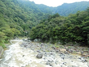DSCN8494