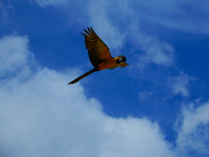 DSCN0889