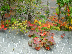 DSCN9431