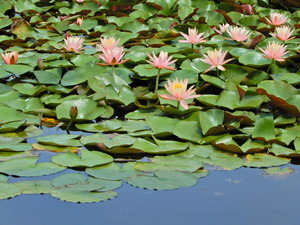 DSCN0387
