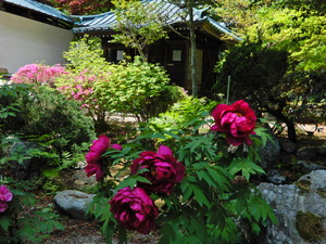 DSCN9308