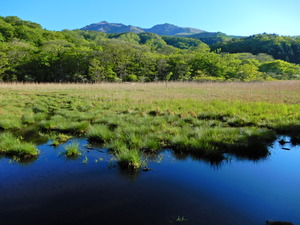 DSCN0474