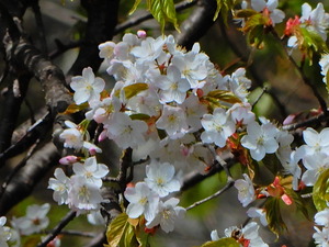 DSCN9933