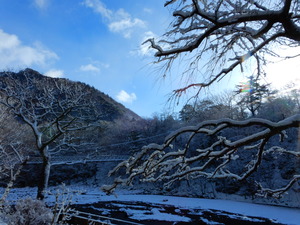 DSCN9769