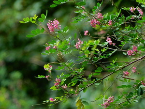 DSCN0542