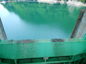 DSCN9316
