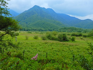 DSCN9501