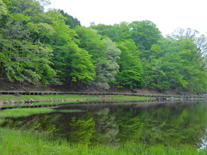 DSCN9568