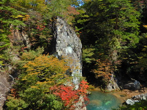 DSCN9793