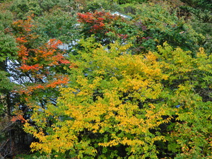 DSCN0227