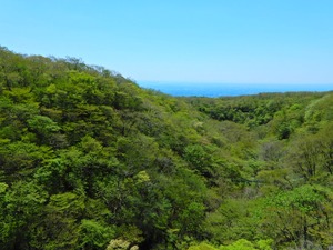DSCN9591