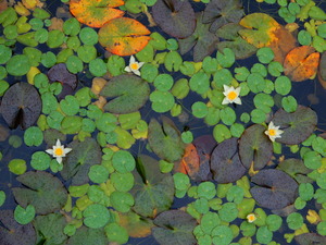 DSCN0069
