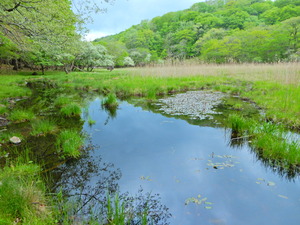DSCN9638