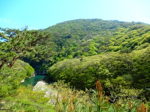 DSCN8215
