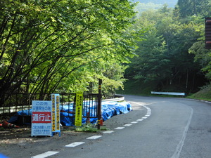 DSCN8989