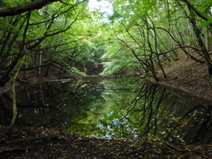 DSCN0957