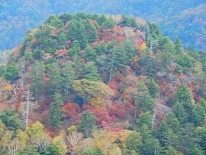 DSCN9643