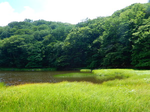 DSCN0653