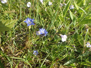 P6040062