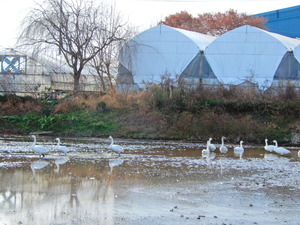 DSCN0097