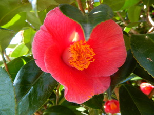 DSCN4507