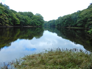 DSCN1015